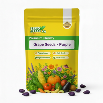 Grape Seeds – Purple
