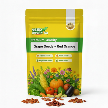 Grape Seeds – Red Orange