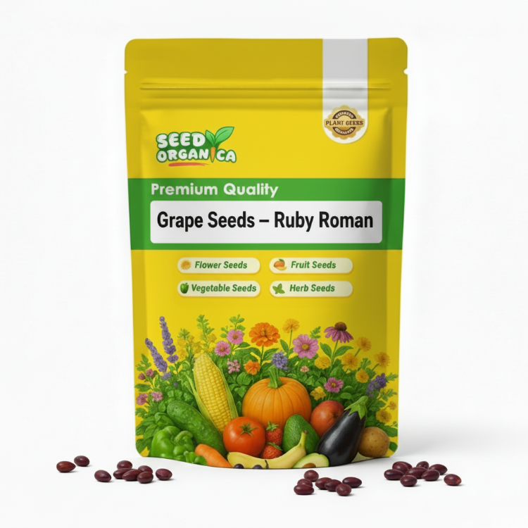 Vitis Ruby Ruby Roman Grape Seeds | Vitis Fruit Vine