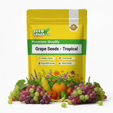 Grape Seeds – Tropical