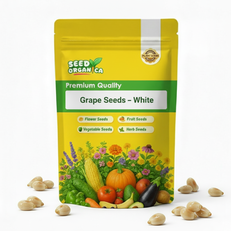 Grape Seeds – White
