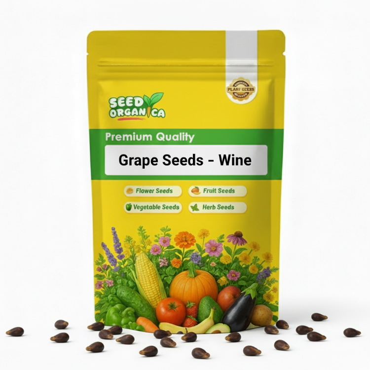 Grape Seeds – Wine