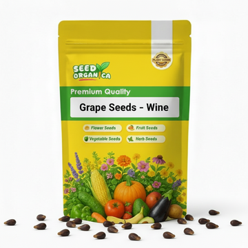 Grape Seeds – Wine