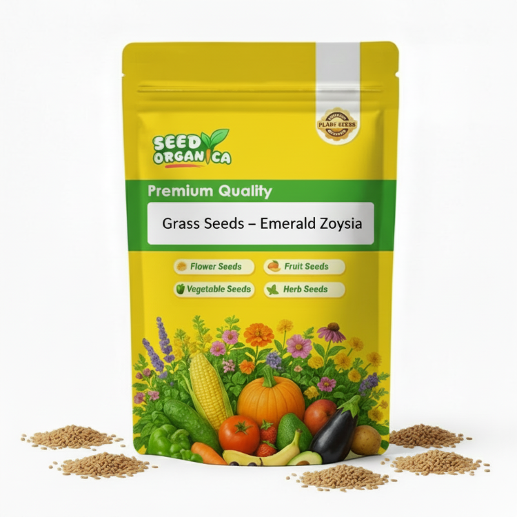 Grass Seeds – Emerald Zoysia