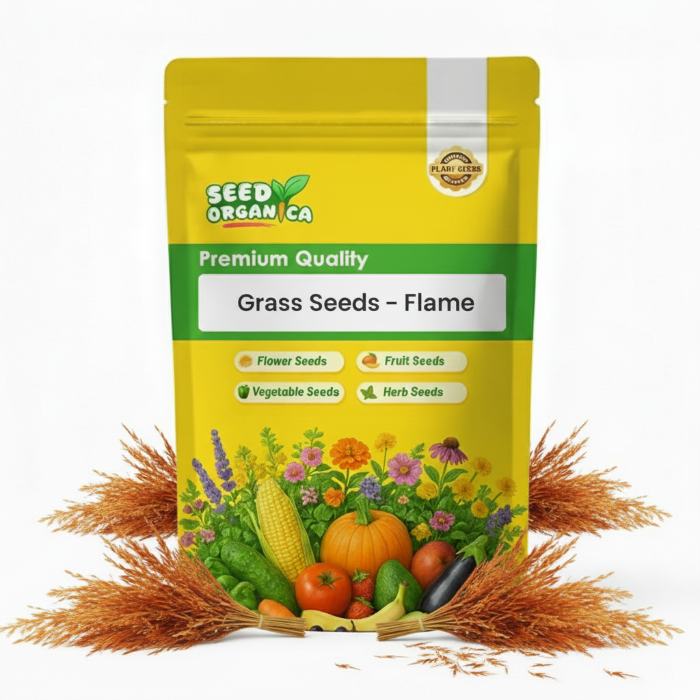 Grass Seeds – Flame