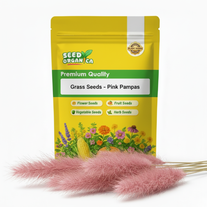 Grass Seeds – Pink Pampas