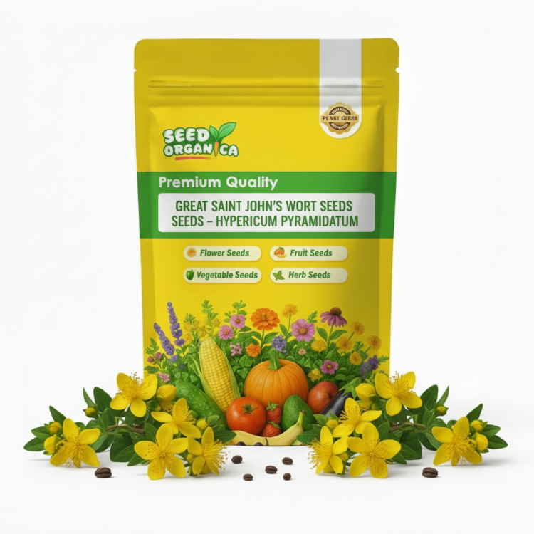Great Saint John's Wort Seeds – Hypericum pyramidatum