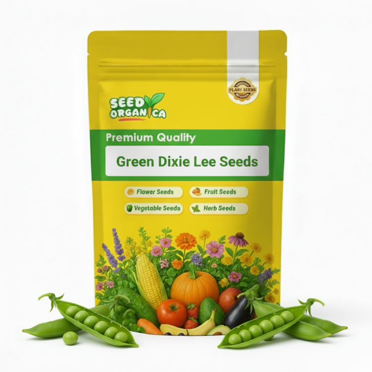 Green Dixie Lee Seeds