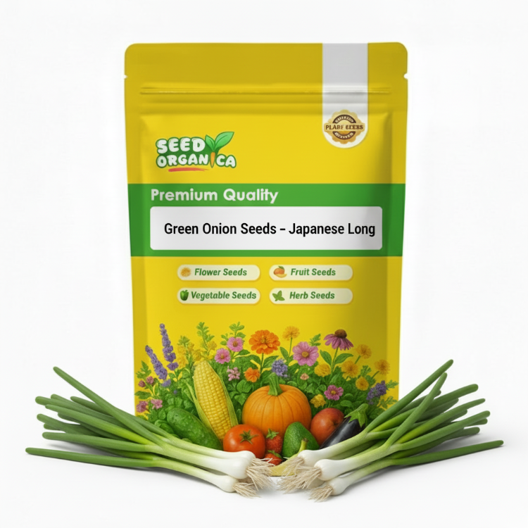 Green Onion Seeds – Japanese Long