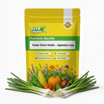 Green Onion Seeds – Japanese Long