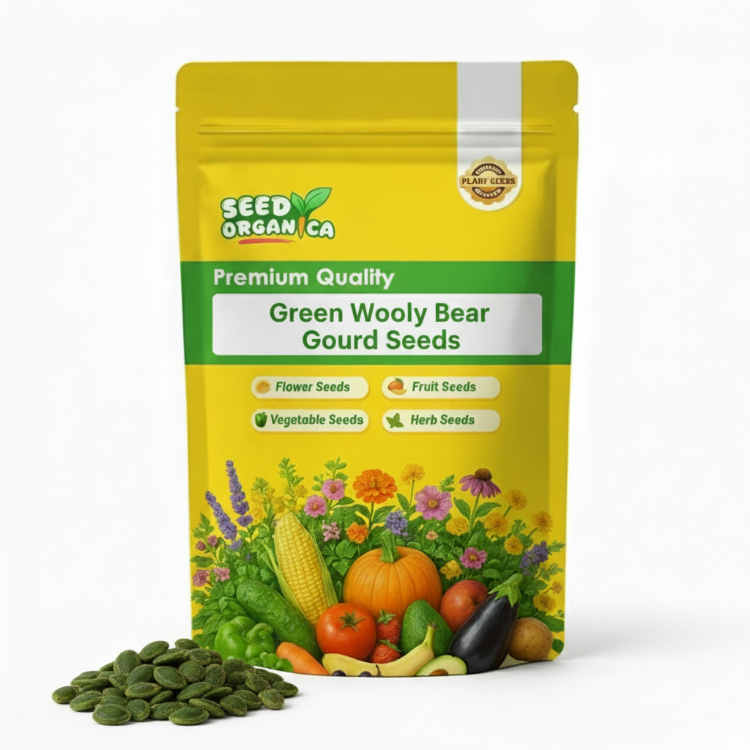 Green Wooly Bear Gourd Seeds
