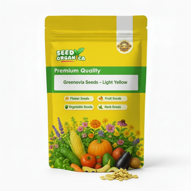 Greenovia Seeds – Light Yellow