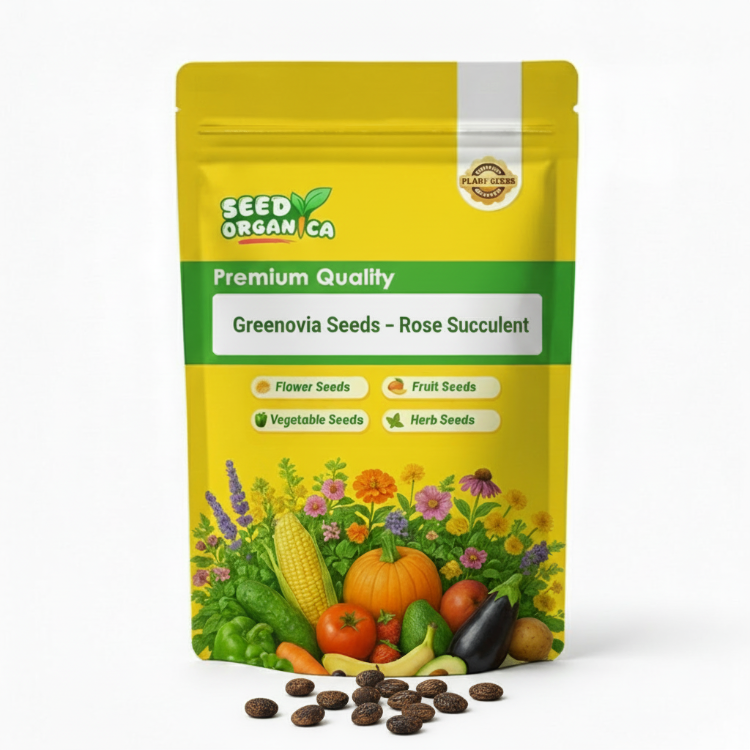 Greenovia Seeds – Rose Succulent