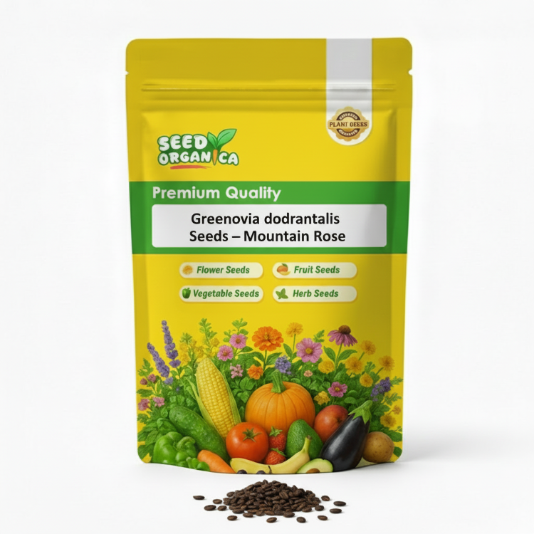 Greenovia dodrantalis Seeds – Mountain Rose