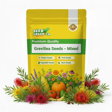 Grevillea Seeds – Mixed