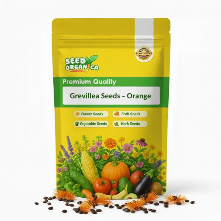 Grevillea Seeds – Orange