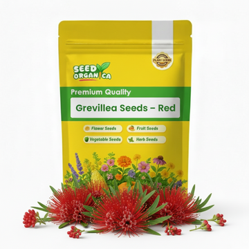 Grevillea Seeds – Red