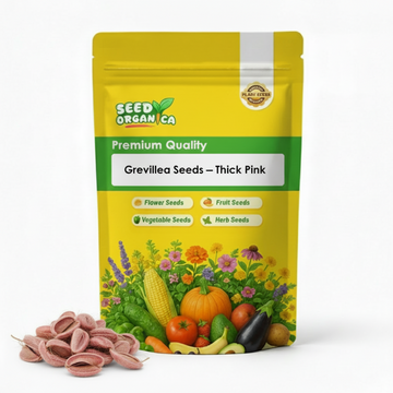 Grevillea Seeds – Thick Pink