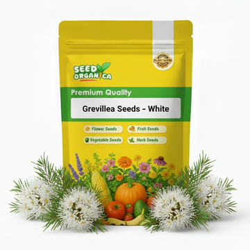 Grevillea Seeds – White