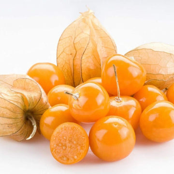 Ground Cherry Seeds – Heirloom