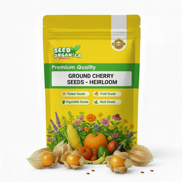 Ground Cherry Seeds – Heirloom