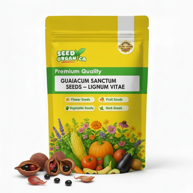 Guaiacum Sanctum Seeds – Lignum Vitae
