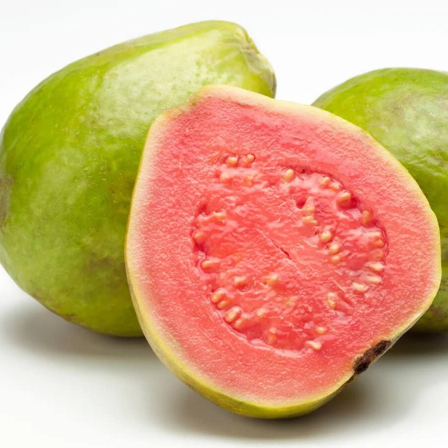 Guava Seeds – Psidium guajava