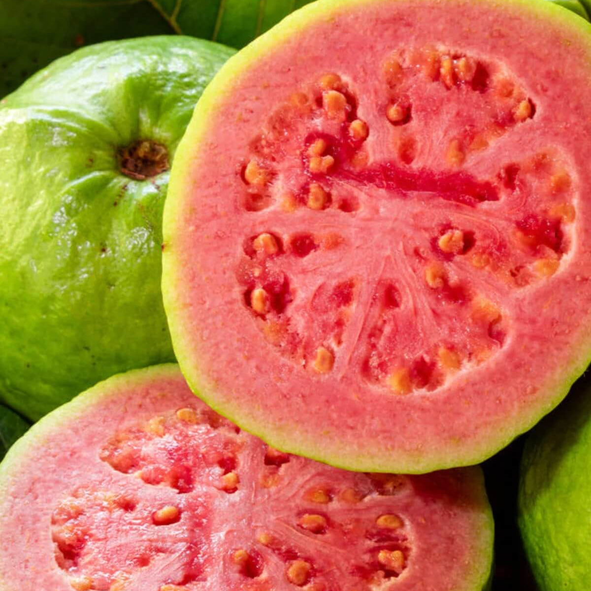 Guava Seeds – Ruby Supreme
