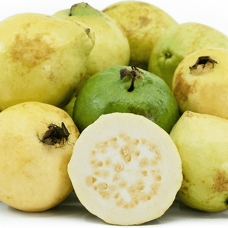 Guava Seeds – Yellow Mexican Cream