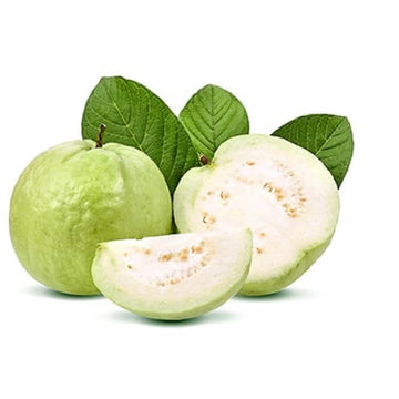 Guava Seeds – Crystal