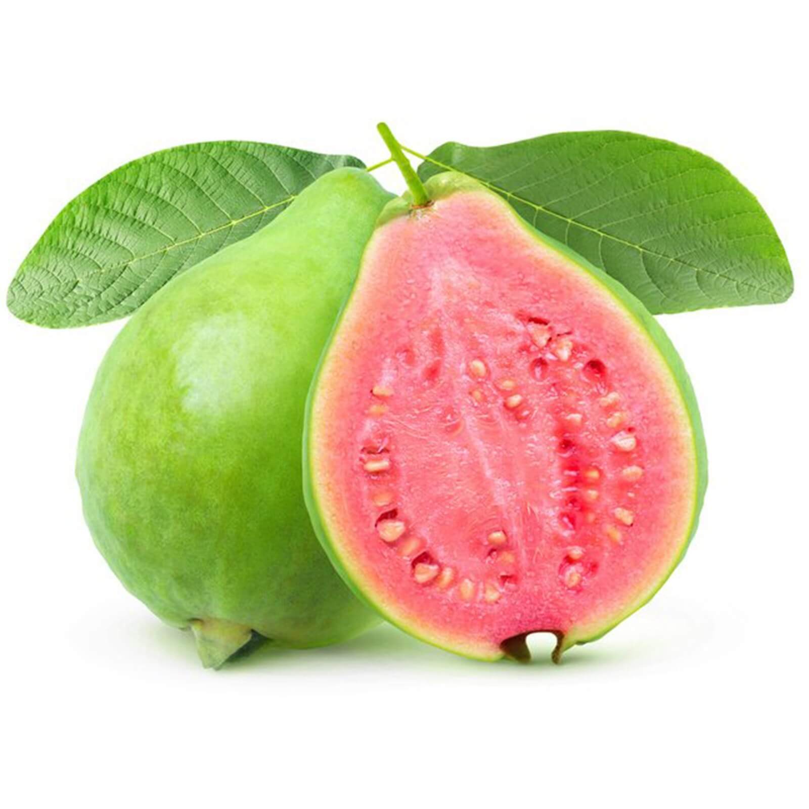 Guava Seeds – Psidium guajava
