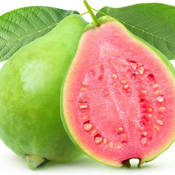 Guava Seeds – Red