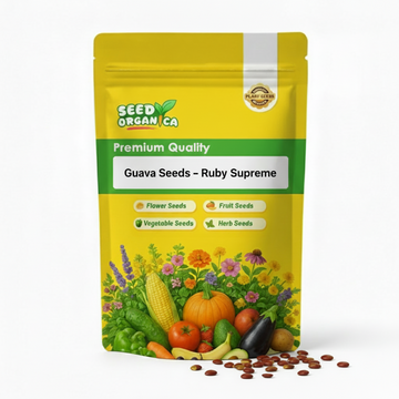 Guava Seeds – Ruby Supreme