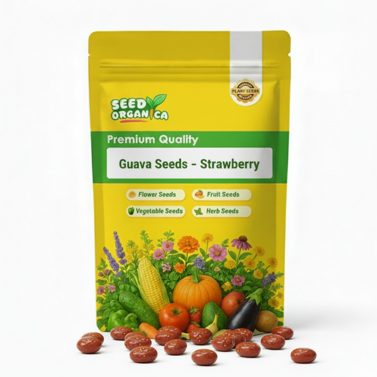 Guava Seeds – Strawberry
