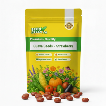 Guava Seeds – Strawberry