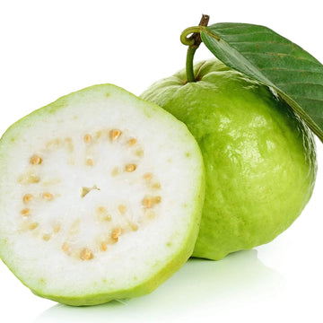 Guava Seeds – Thai White