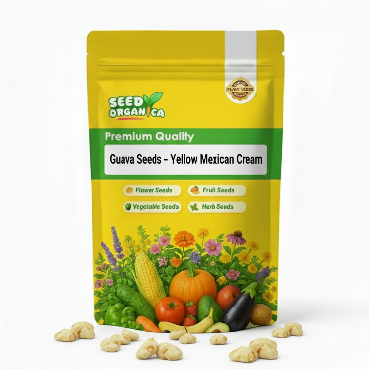Guava Seeds – Yellow Mexican Cream