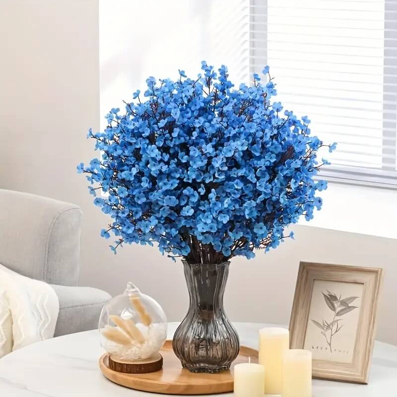 Gypsophila Seeds – Blue