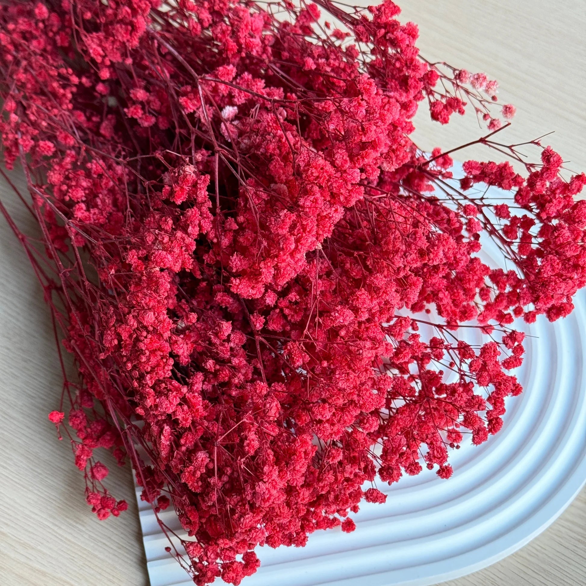 Gypsophila Seeds – Dark Red