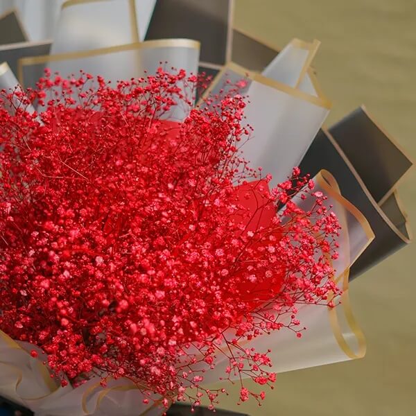 Gypsophila Seeds – Deep Carmine