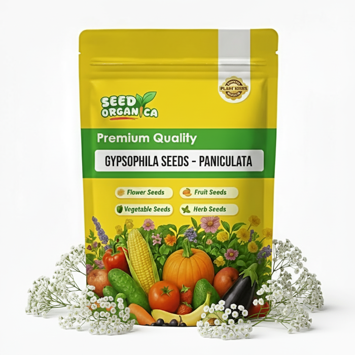 Gypsophila Seeds – Paniculata