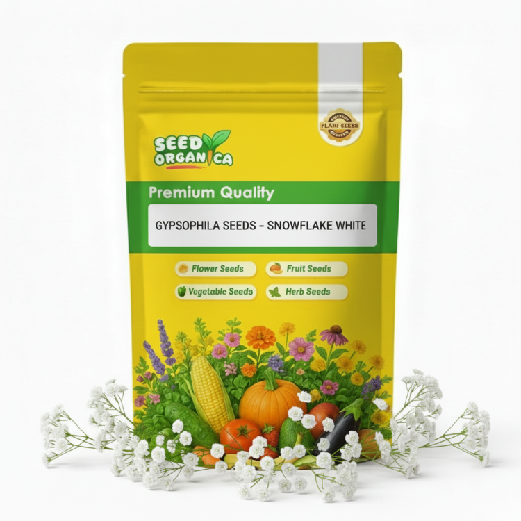 Gypsophila Seeds – Snowflake White