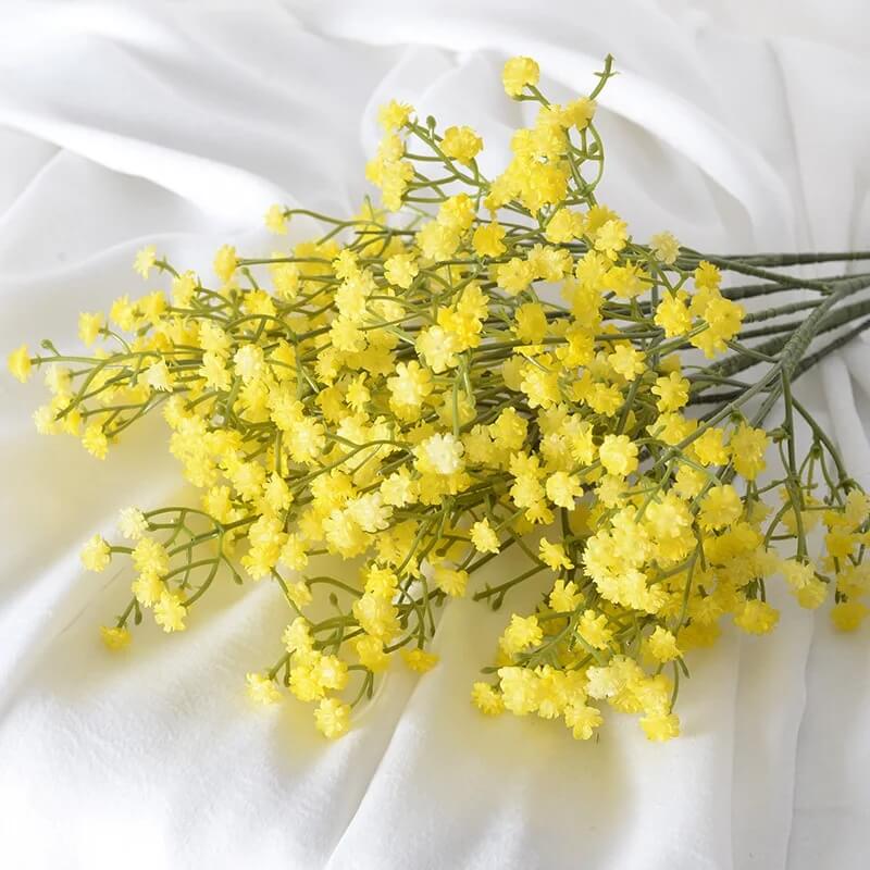 Gypsophila Seeds – Yellow