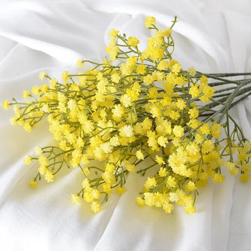 Gypsophila Seeds – Yellow
