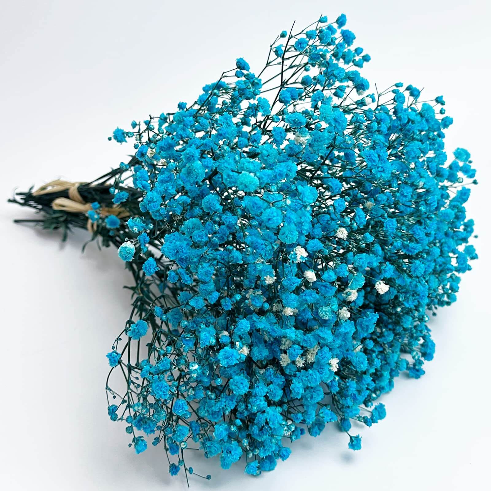 Gypsophila Seeds – light Blue