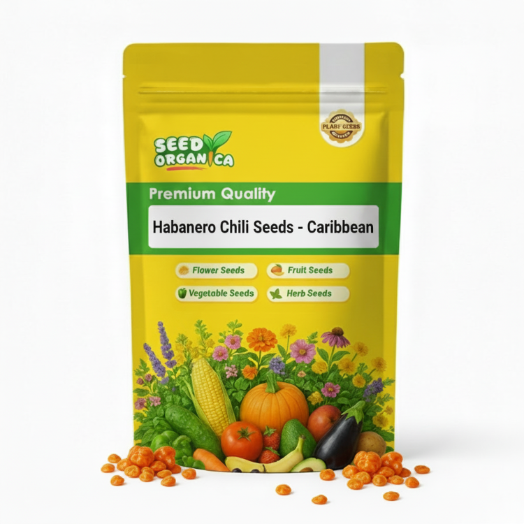 Habanero Chili Seeds - Caribbean