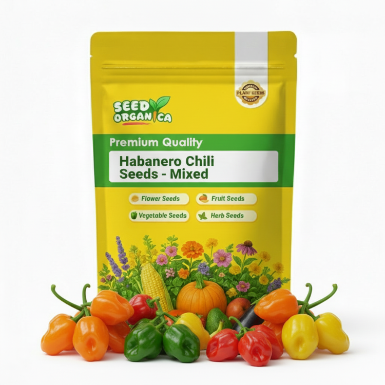 Habanero Chili Seeds - Mixed