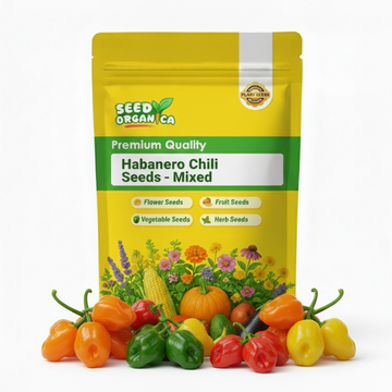 Habanero Chili Seeds - Mixed
