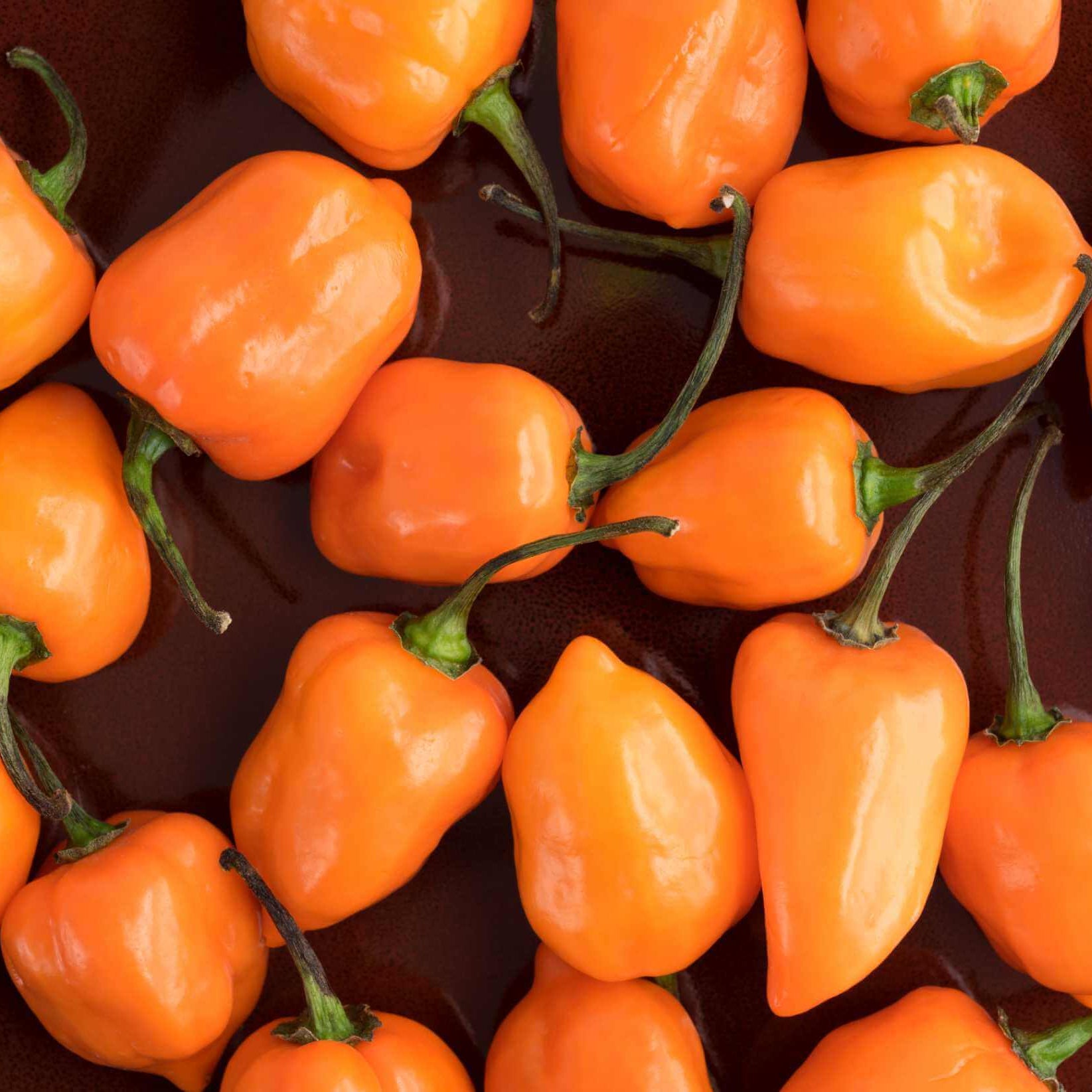 Habanero  Seeds – Heirloom