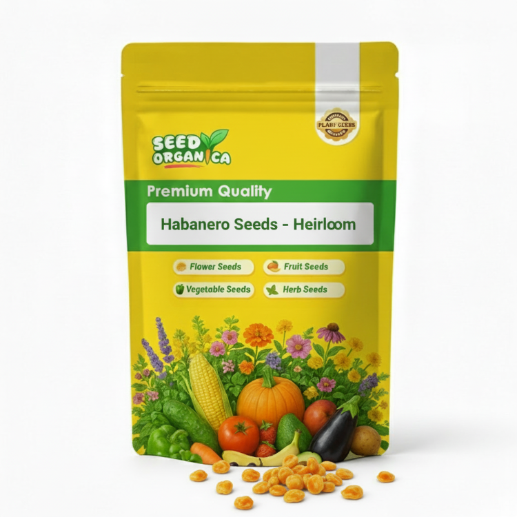 Habanero  Seeds – Heirloom